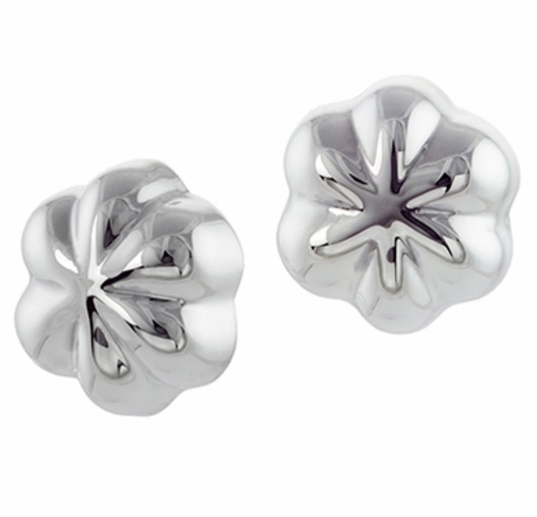 Silver Clips - A5619