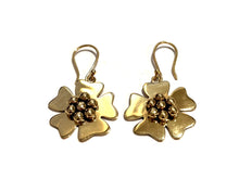Load image into Gallery viewer, BRASS Earrings - AB253
