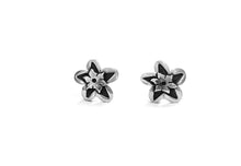 Load image into Gallery viewer, Silver Set Earrings - A7083
