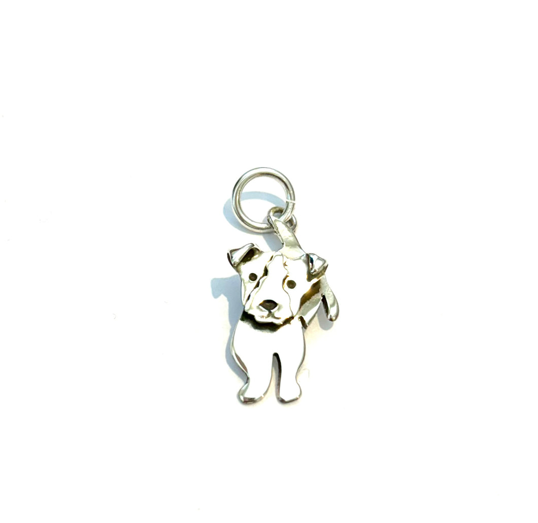 Silver Charm/Pendant - PPD132