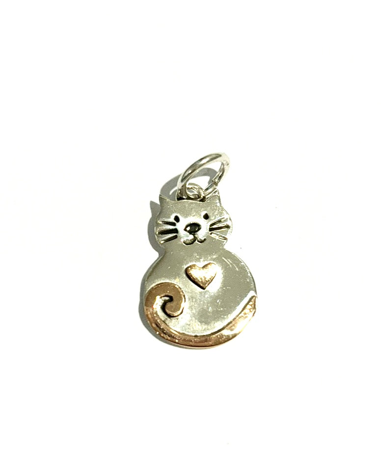 Silver Charm/Pendant - PPD120