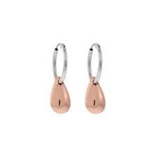 Load image into Gallery viewer, Silver Drop Earrings - A9089
