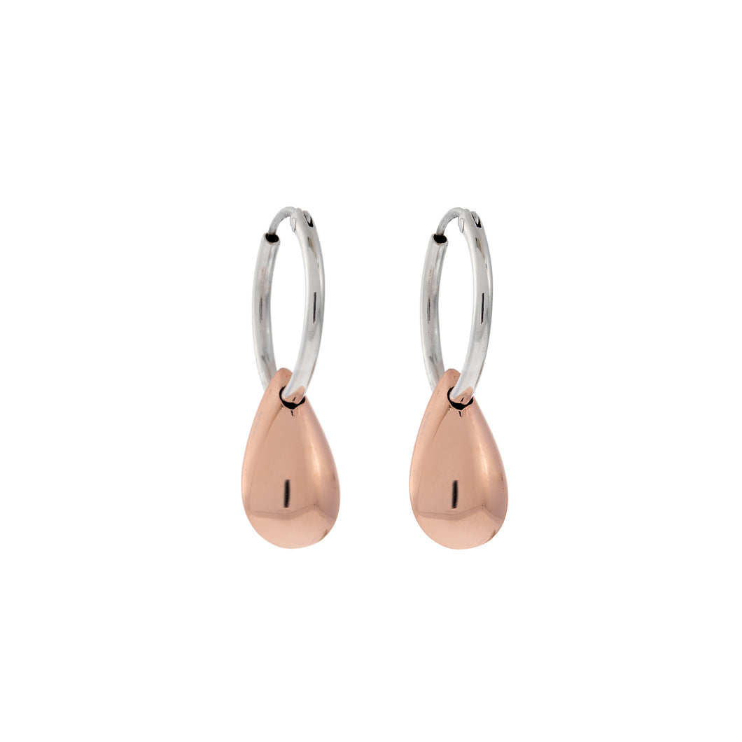 Silver Drop Earrings - A9089