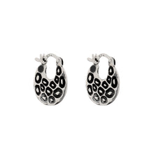 Load image into Gallery viewer, Silver Hoop Earrings - A9209
