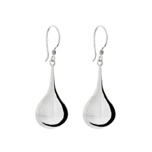 Load image into Gallery viewer, Silver Drop Earrings - FAA606

