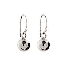 Load image into Gallery viewer, Silver Drop Earrings - FAA663
