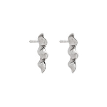 Load image into Gallery viewer, Silver Stud Earrings - PPA113
