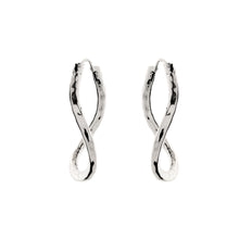 Load image into Gallery viewer, Silver Hoop Earrings - PPA130
