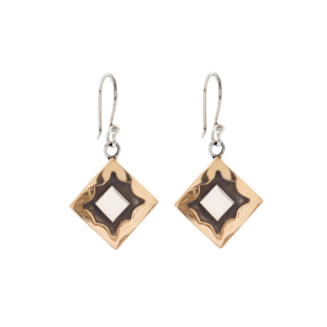 Silver Drop Earrings - PPA505