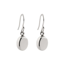 Load image into Gallery viewer, Silver Drop Earrings - PPA553
