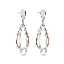 Load image into Gallery viewer, Silver Drop Earrings - PPA714
