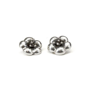 Silver Clip Earrings - A5138