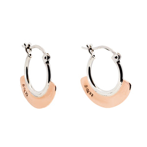 Silver Drop Earrings - A9116