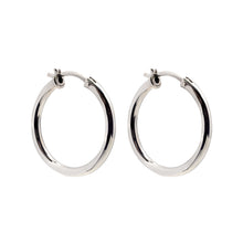 Load image into Gallery viewer, Silver Hoop Earrings - A9219
