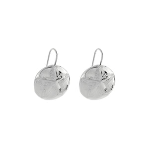 Silver Drop Earrings - A5445
