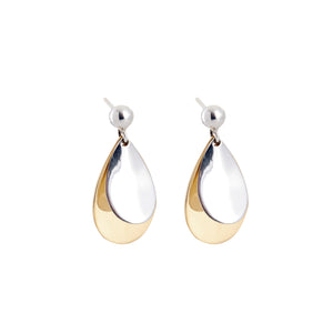Silver Drop Earrings - PPA489