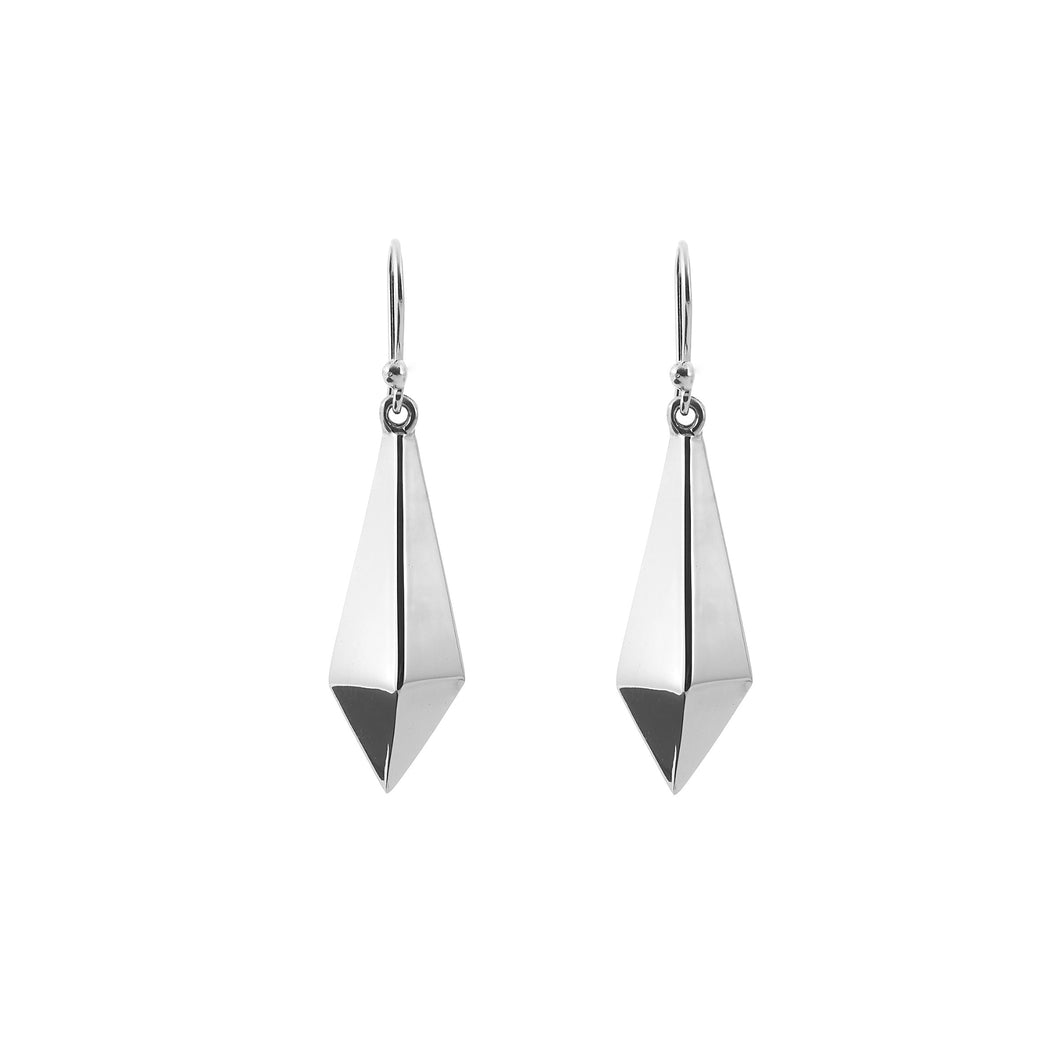 Silver Drop Earrings - PPA563