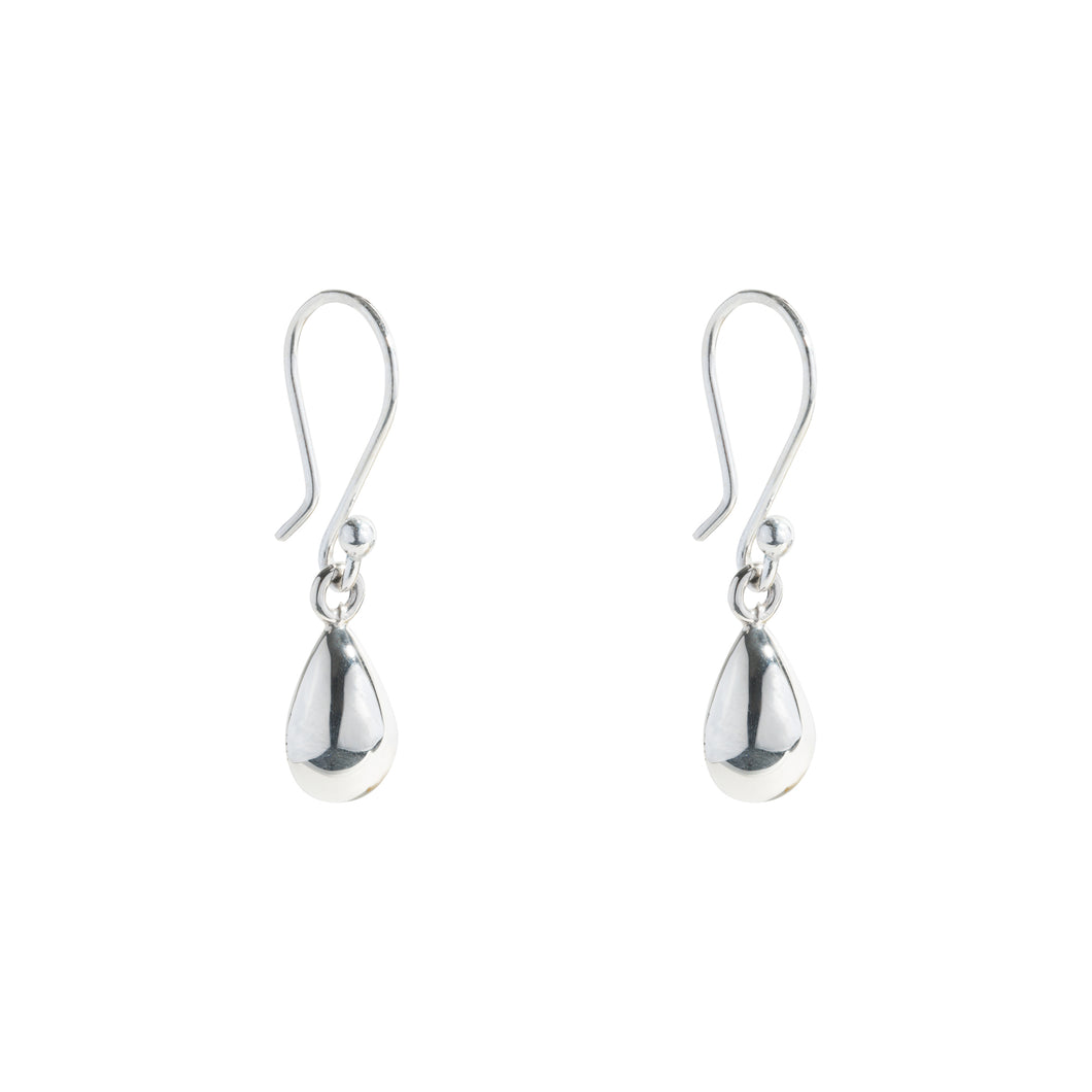 Silver Drop Earrings - PPA442