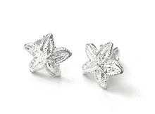 Load image into Gallery viewer, Silver Stud Earrings - A6366

