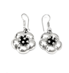 Silver Drop Earrings - A6113