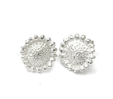 Load image into Gallery viewer, Silver Suds - A5480
