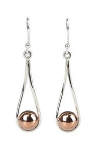 Silver Drop Earrings - PPA568