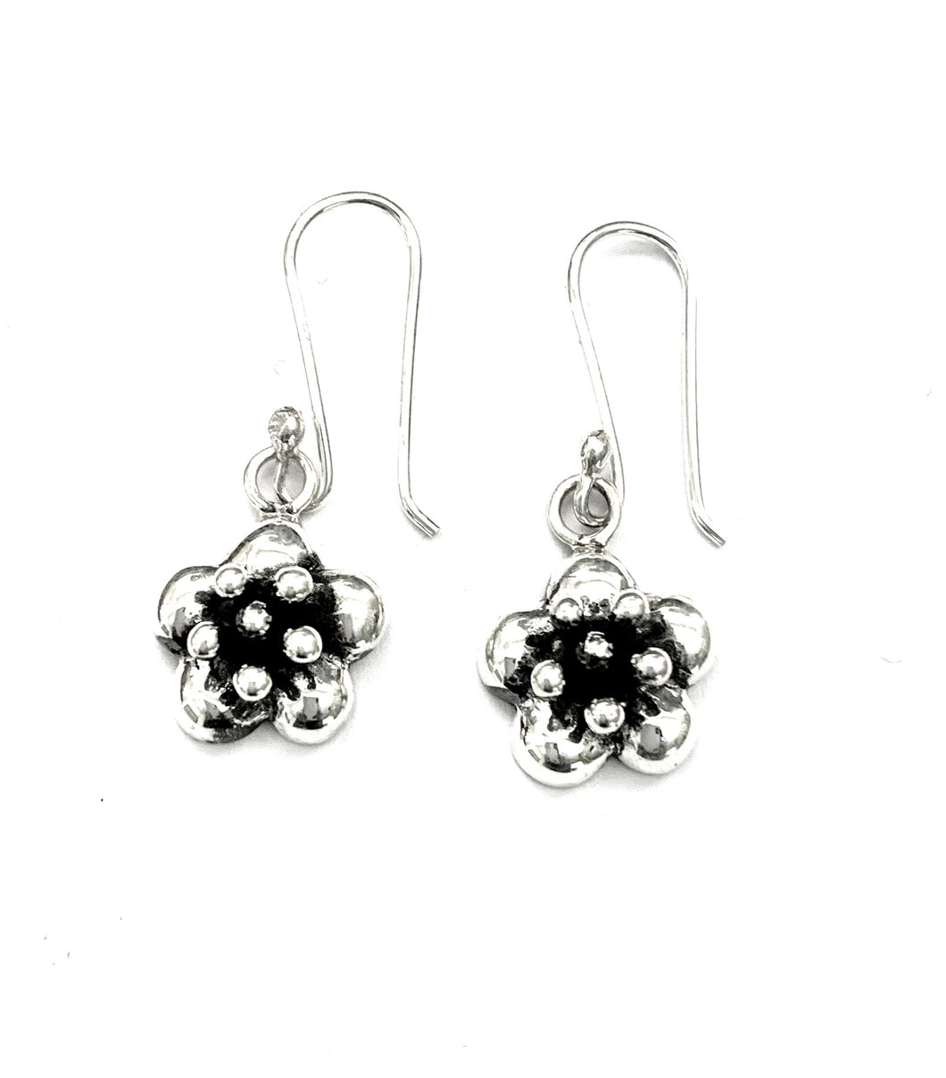 Silver Drop Earrings - A7073