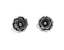 Load image into Gallery viewer, Silver Studs - A4067

