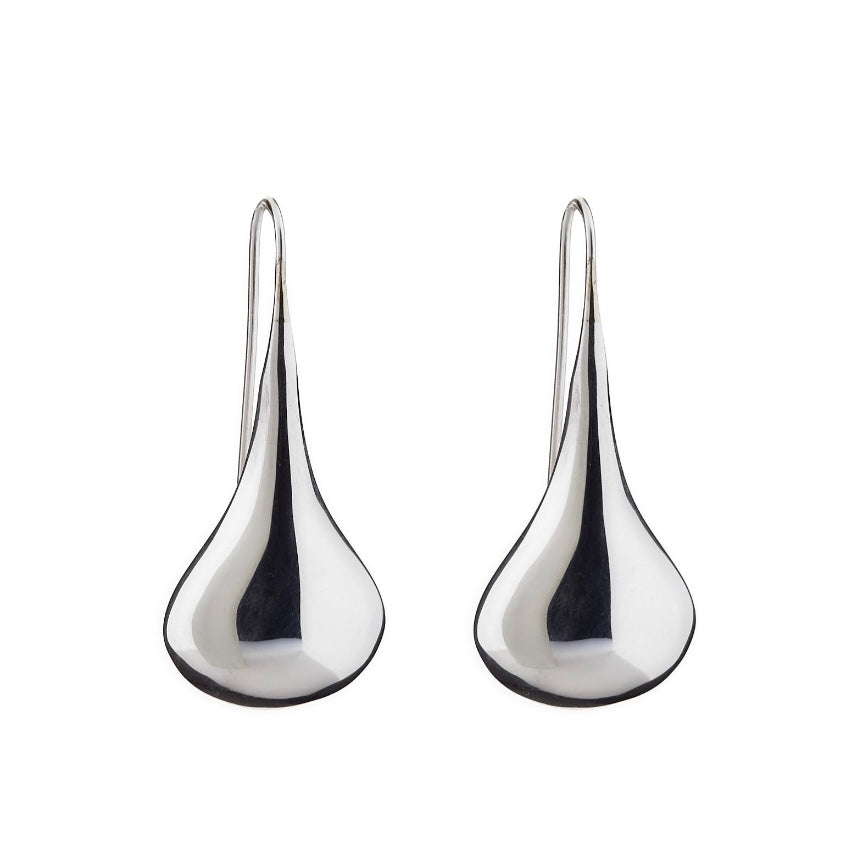 Silver Drop Earrings - AN273