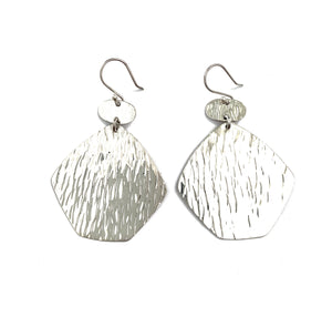 Silver Drop Earrings - PPA529