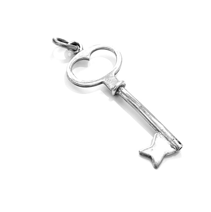 Silver Pendant - D569