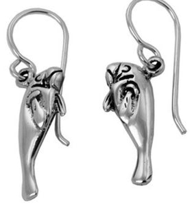 Silver Drop Earrings - A5392