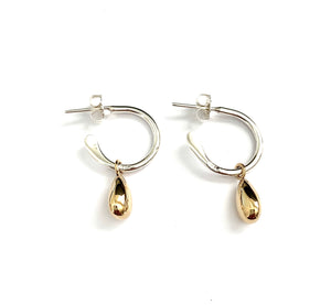 Silver Drop Earrings - PPA534