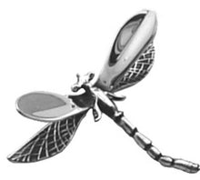 Load image into Gallery viewer, Silver Brooche - E461
