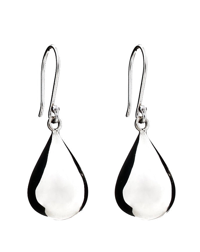 Silver Drop Earrings - PPA173