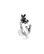 Load image into Gallery viewer, Silver Ring - FAR220
