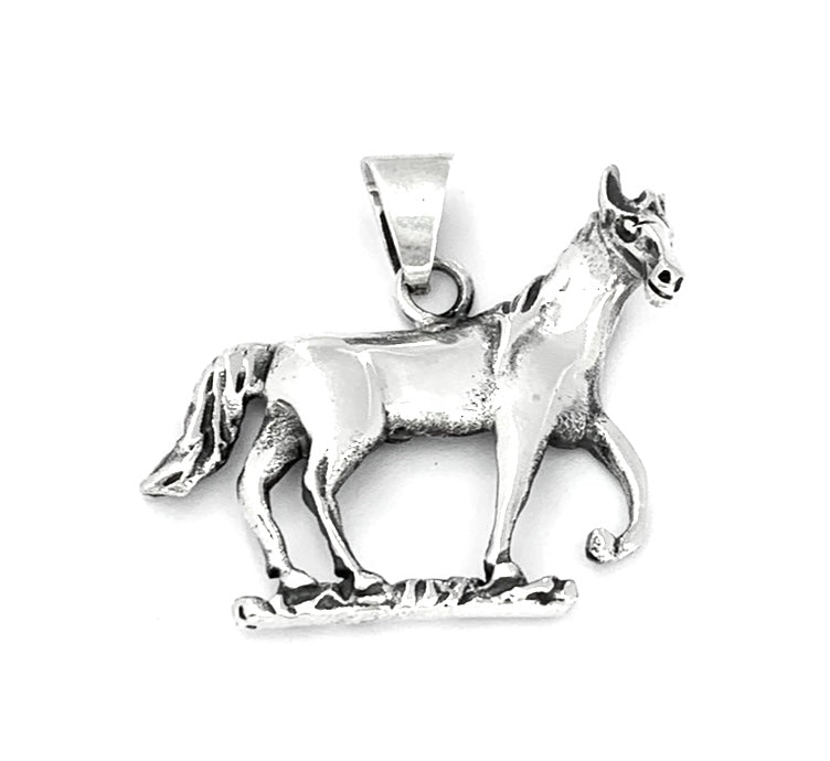 Silver Pendant - D269