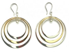 Load image into Gallery viewer, Silver Drop Earrings - PPA375
