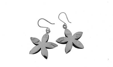 Silver Drop Earrings - A904. 