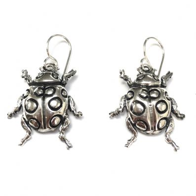 Silver Drop Earrings - A5461. 