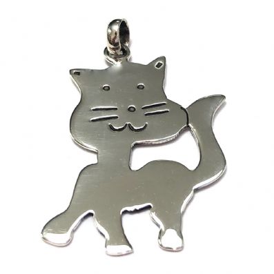 Silver Pendant - Ppd114. 