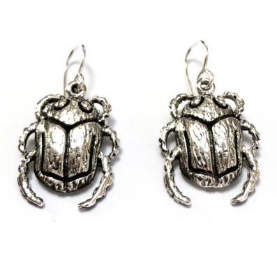 Silver Drop Earrings - A5459. 