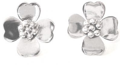 Silver Stud Earrings - Wa313. 